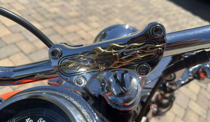 
								1999 Harley-Davidson Dyna Wide Glide full									